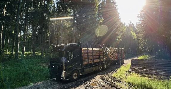 Beispielarbeit von Reindl Anton Holztransporte - veröffentlicht auf Bauunternehmen.org