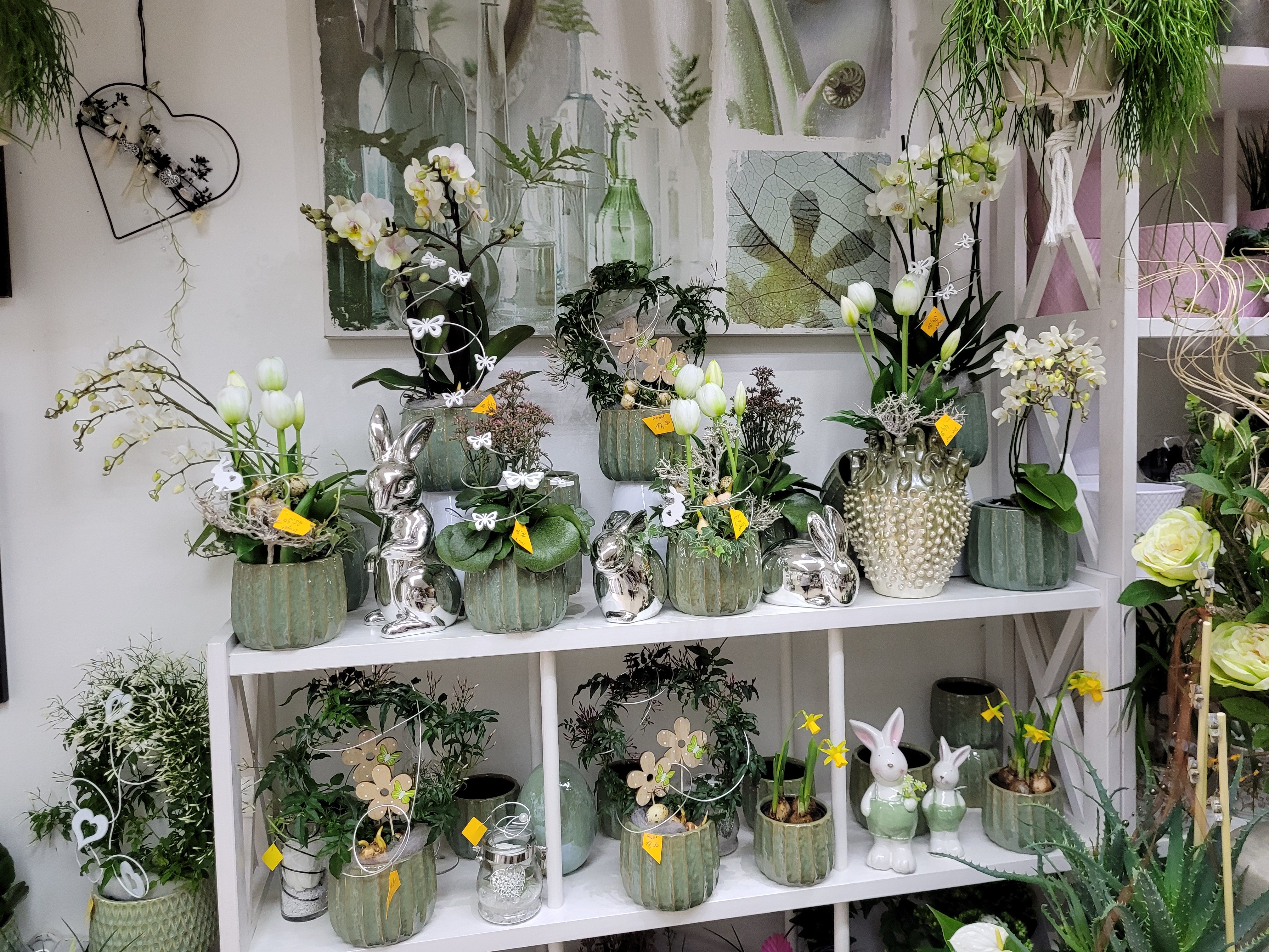 Beispielarbeit von Sylvia's Blumenladen - veröffentlicht auf Gartenbau.org
