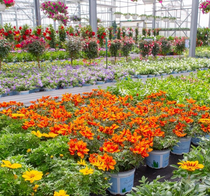 Beispielarbeit von Gärtnerei Strohmair u. Hirsch GmbH u. Co. KG - veröffentlicht auf Gartenbau.org