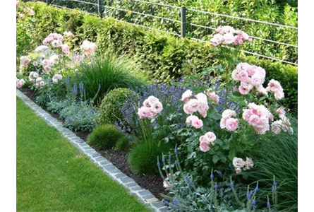 Beispielarbeit von Lang - Gärten - veröffentlicht auf Gartenbau.org