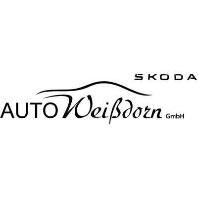 Logo der Firma Skoda Auto Weißdorn GmbH aus Aufhausen auf dem Branchenportal Auto-Werkstatt.de