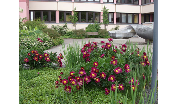 Beispielarbeit von Kaiser Klaus, Dipl.-Ing. - veröffentlicht auf Gartenbau.org