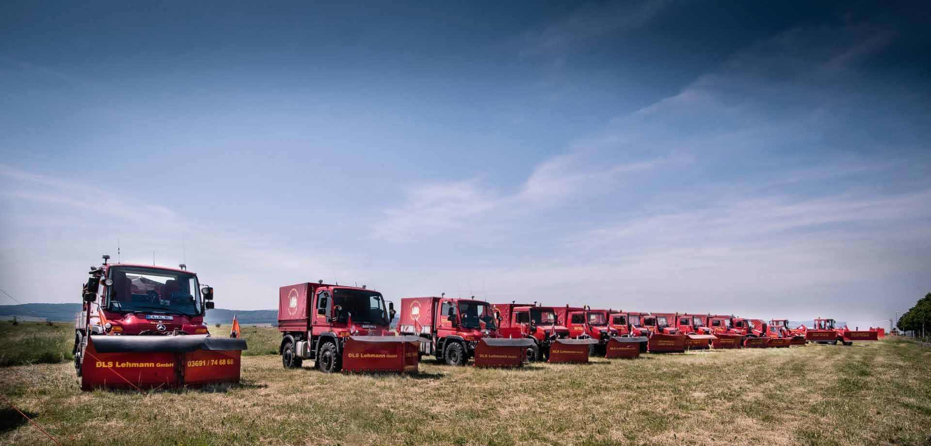 DLS Lehmann GmbH cover image