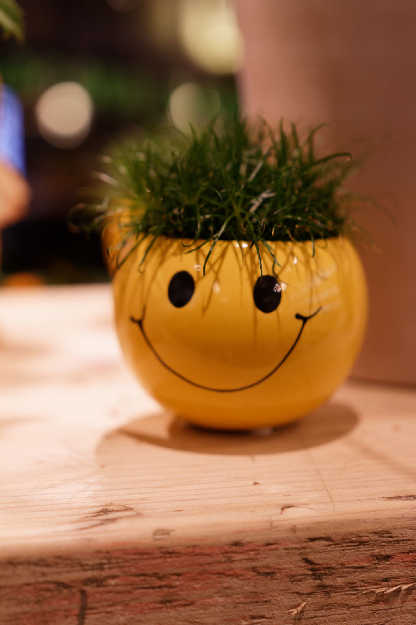 Beispielarbeit von Birgits Blumenkorb - veröffentlicht auf Gartenbau.org