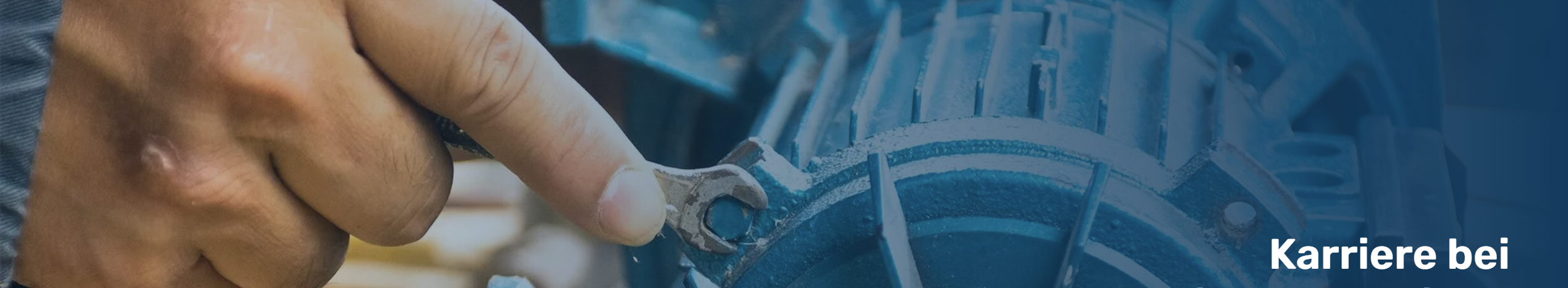 Helmut Grimm Elektromaschinenbau GmbH cover image