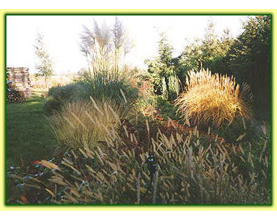 Beispielarbeit von ""Flora passionata'''' - veröffentlicht auf Gartenbau.org