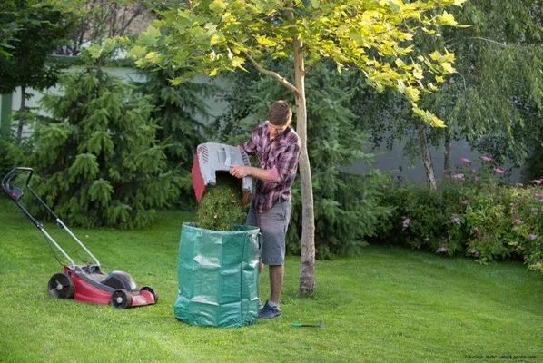 Beispielarbeit von Euro Baumdienst GmbH - veröffentlicht auf Gartenbau.org