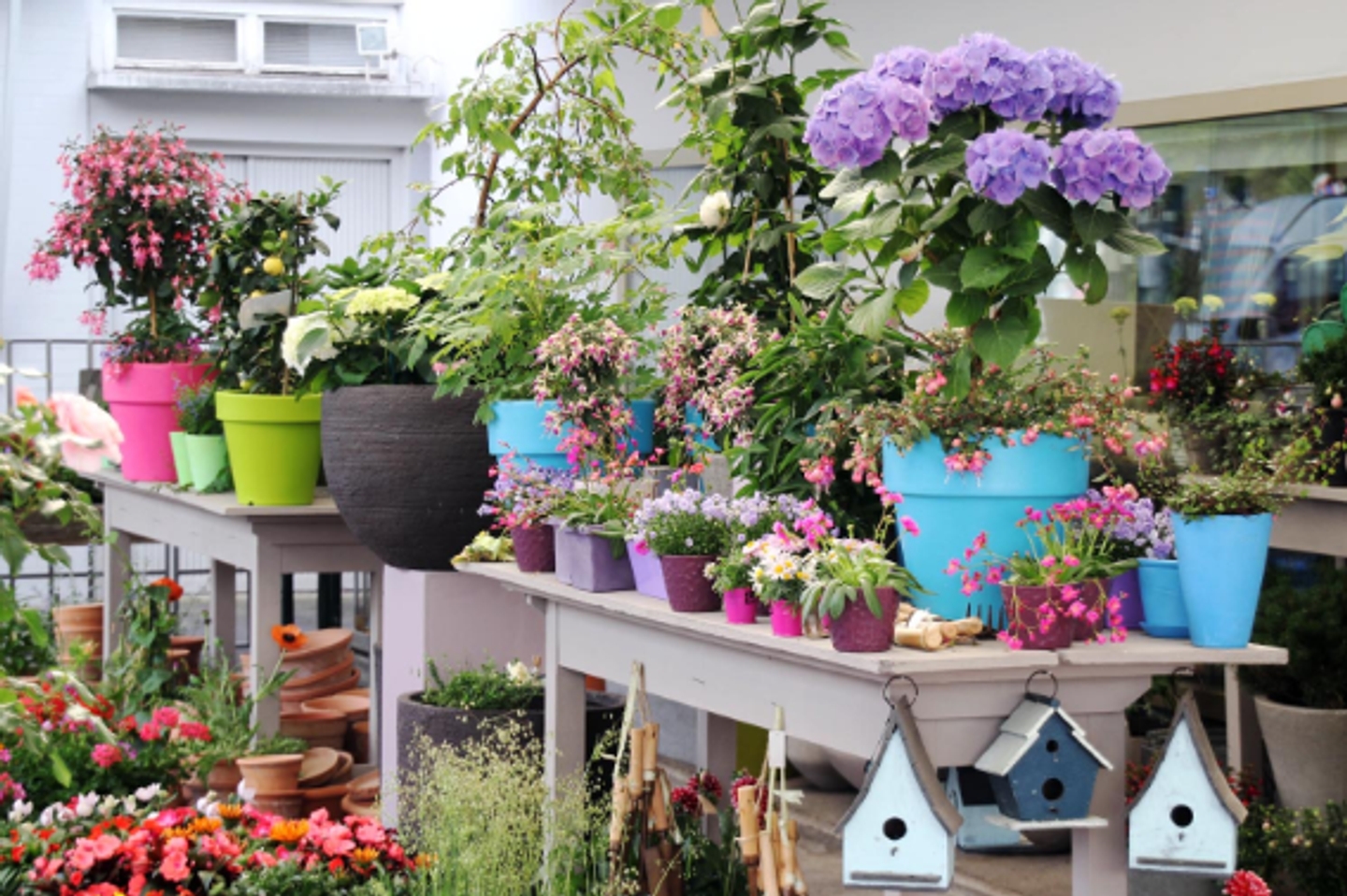 Beispielarbeit von Blütezeit | Saskia Köninger - veröffentlicht auf Gartenbau.org