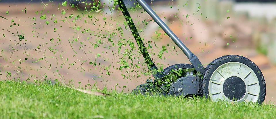 Beispielarbeit von Gartenpflege Birke - veröffentlicht auf Gartenbau.org