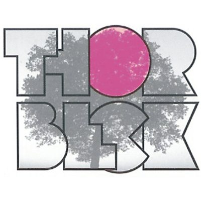 Logo der Firma Schreinerei Michael Thorbeck aus Wendelstein auf dem Branchenportal Tischler-Schreiner.org