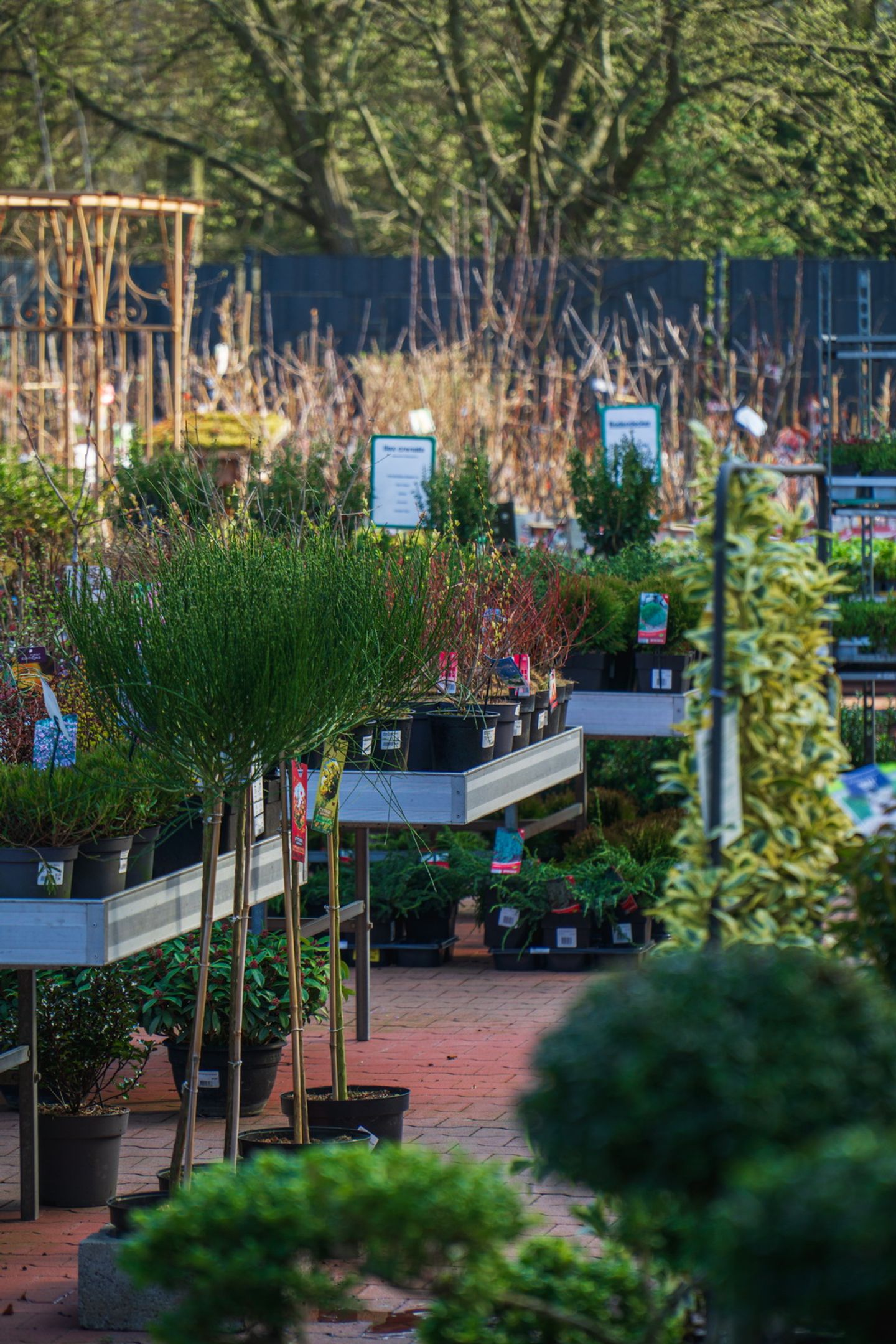 Beispielarbeit von Garten-Center Spiering GmbH Wesel - veröffentlicht auf Gartenbau.org