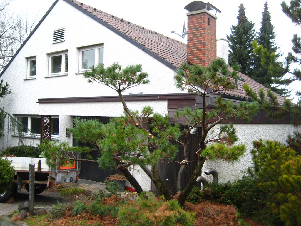 Beispielarbeit von Gurr Garten- und Landschaftsbau GmbH - veröffentlicht auf Gartenbau.org