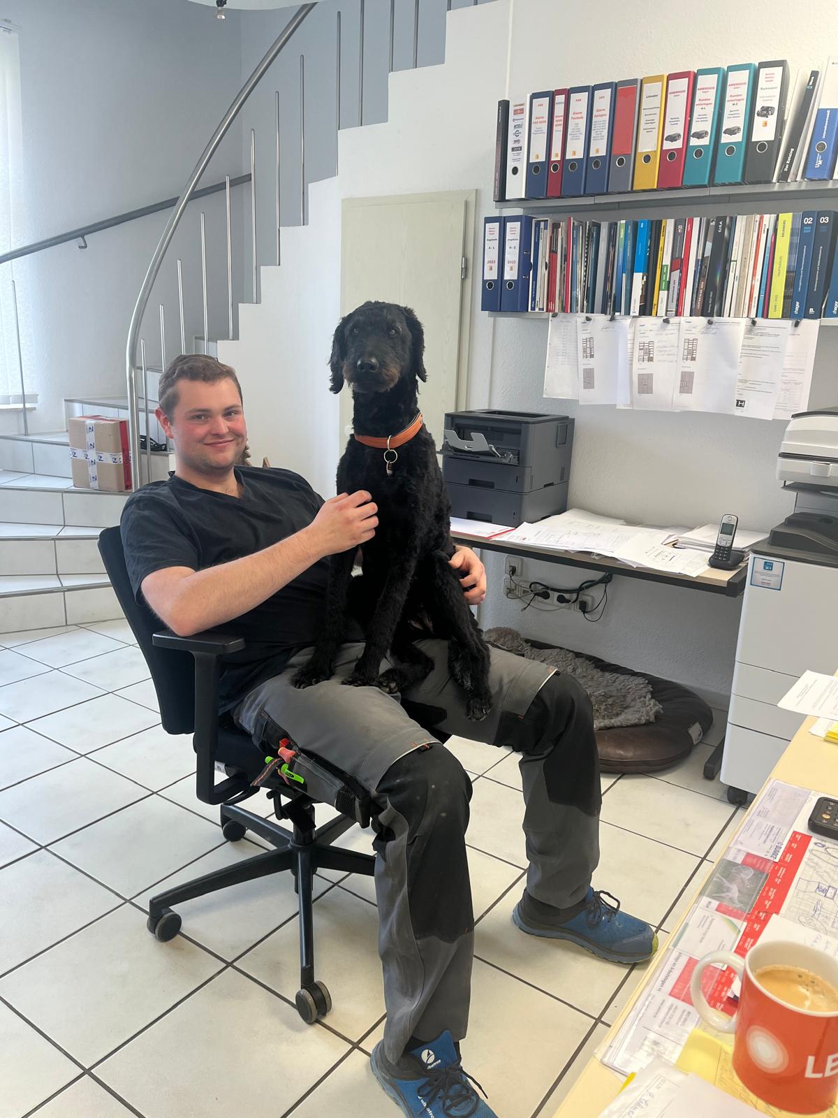 Beispielarbeit von Bartels Elektro GmbH - veröffentlicht auf Elektriker.org