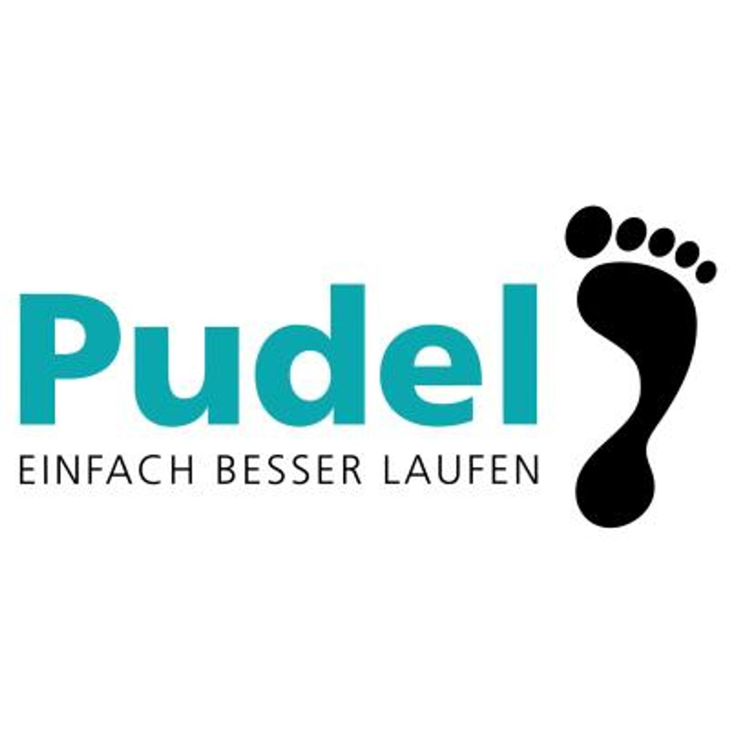 Logo der Firma Pudel Orthopädie-Schuhtechnik GmbH aus Stuttgart auf dem Branchenportal Sanimio.de