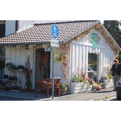 Logo der Firma Vera Fischer Blumen Bandolino aus Eckental auf dem Branchenportal Gartenbau.org