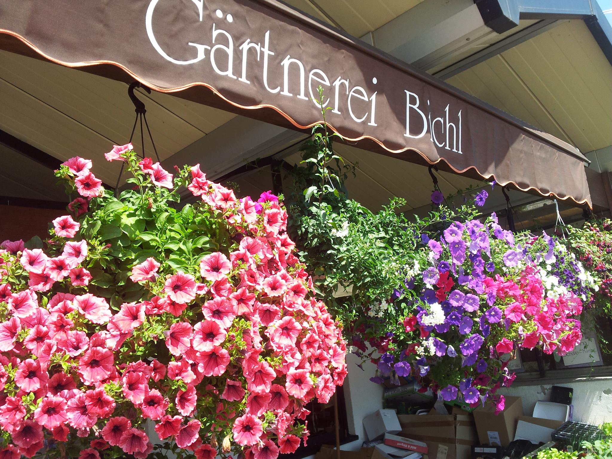 Beispielarbeit von Gärtnerei und Blumenladen Bichl - veröffentlicht auf Gartenbau.org