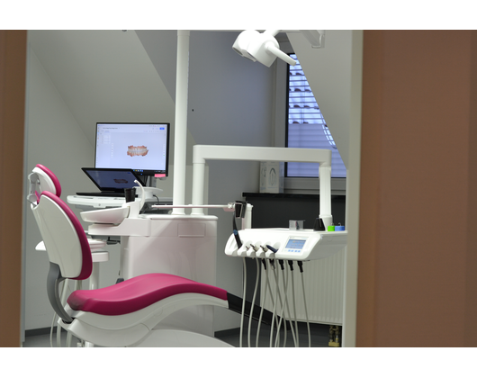 Dr. Miriam Basel - GALLERY