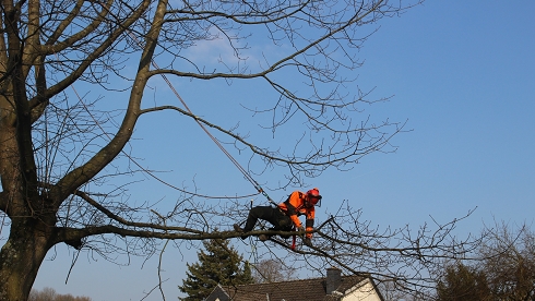 Beispielarbeit von Wendling GbR - veröffentlicht auf Gartenbau.org