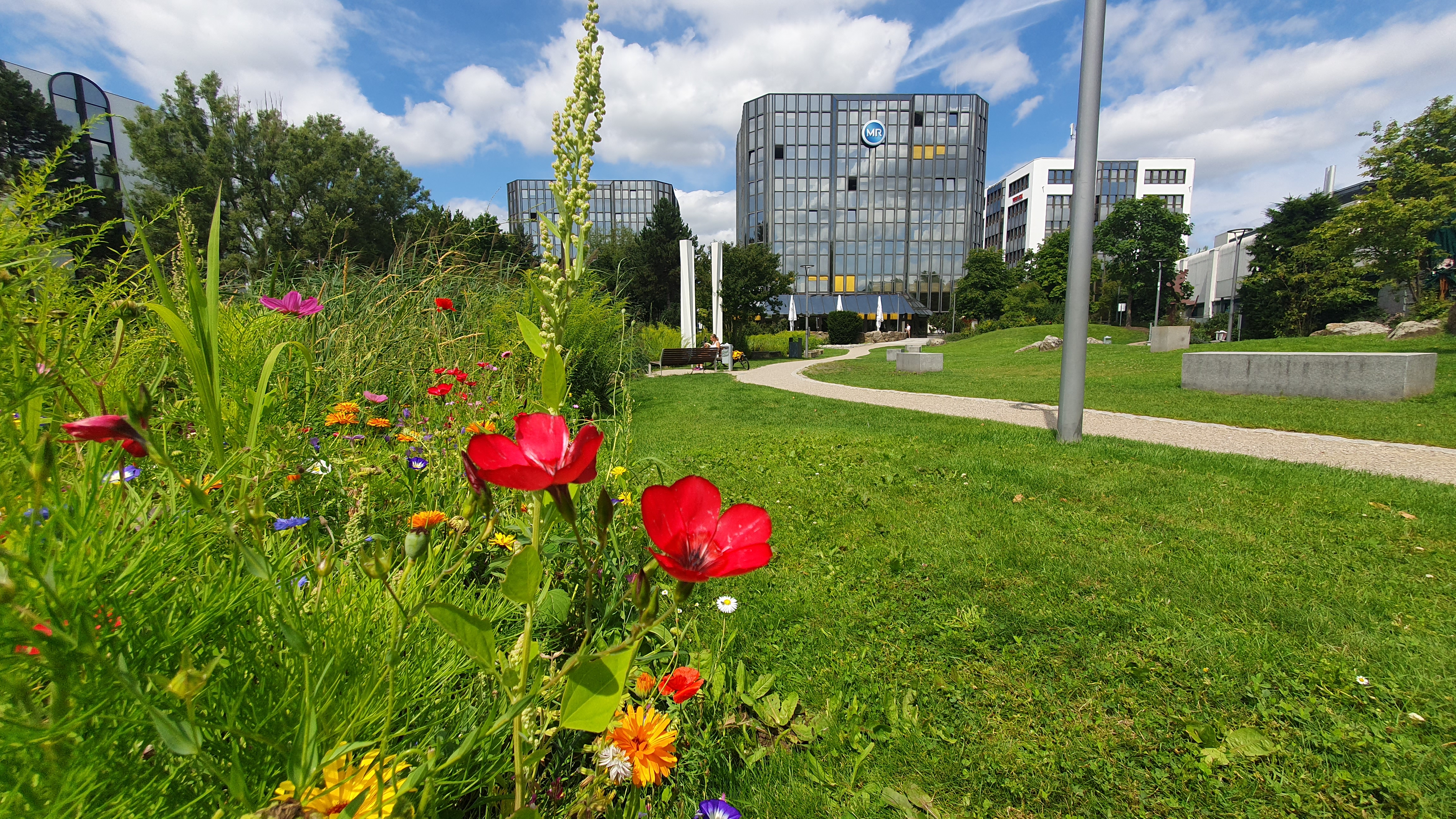 Gewerbepark Regensburg GmbH cover image
