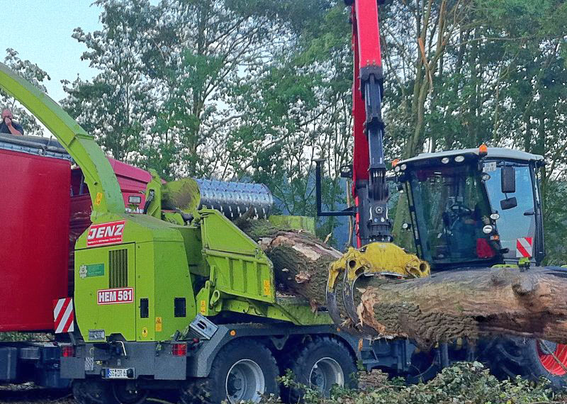 Beispielarbeit von Duwenhorst René Garten-Landschaftsbau-Tiefbau - veröffentlicht auf Bauunternehmen.org