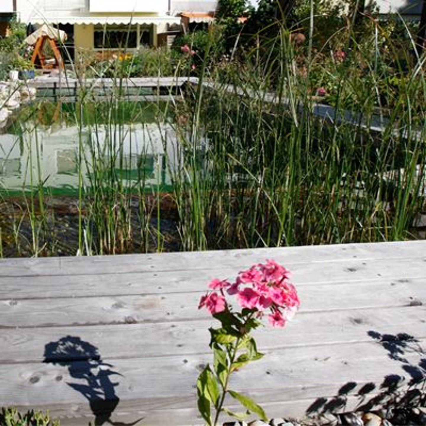 Beispielarbeit von Nordgrün Nürnberg - veröffentlicht auf Gartenbau.org