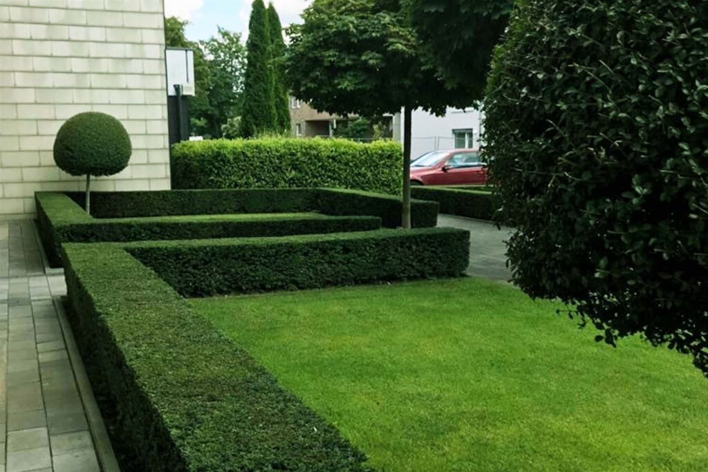 Beispielarbeit von B. & S. Garten- und Landschaftsbau GmbH - veröffentlicht auf Gartenbau.org