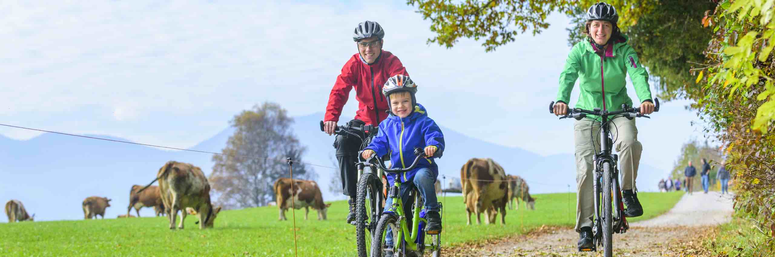 Beispielarbeit von Der Fahrradladen HA & PE bicycle GmbH - veröffentlicht auf Fahrradreparatur.org