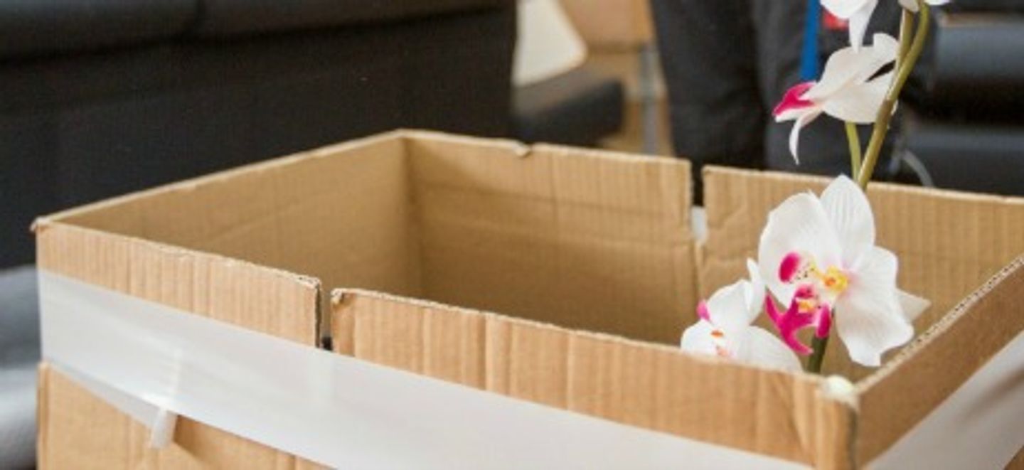 Beispielarbeit von KKS - Krahmer, Krenz & Schwabe Umzüge GmbH - veröffentlicht auf Hausmeisterdienste.net