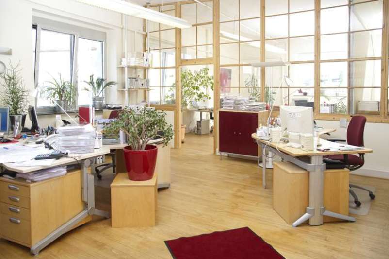 Beispielarbeit von asistenta Service GmbH&Co.KG - veröffentlicht auf Hausmeisterdienste.net