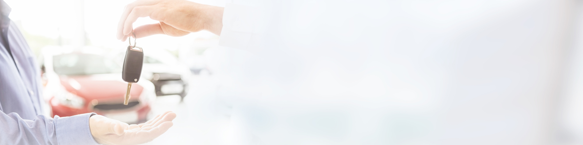 Auto Gotzler cover image