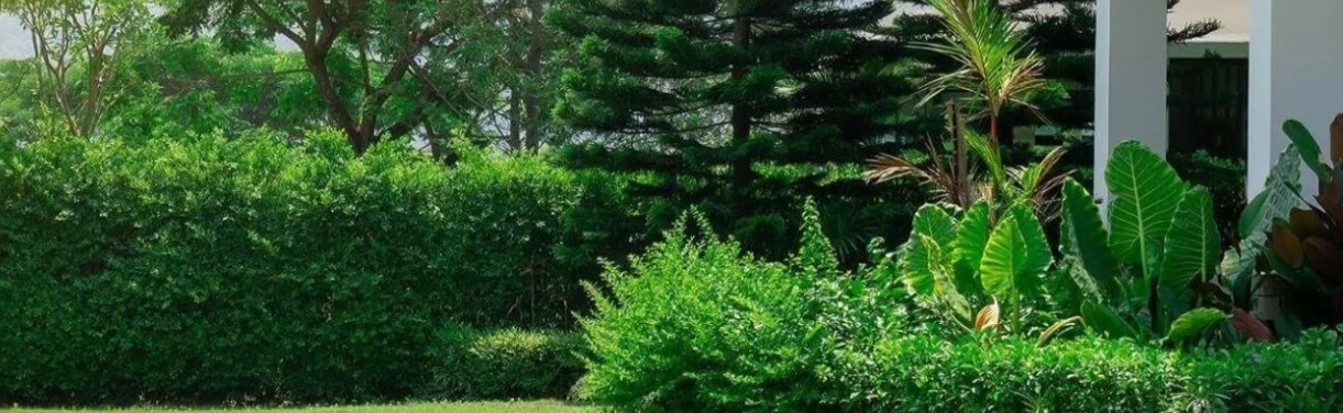 Hölzl Landschaftspflege GmbH cover image