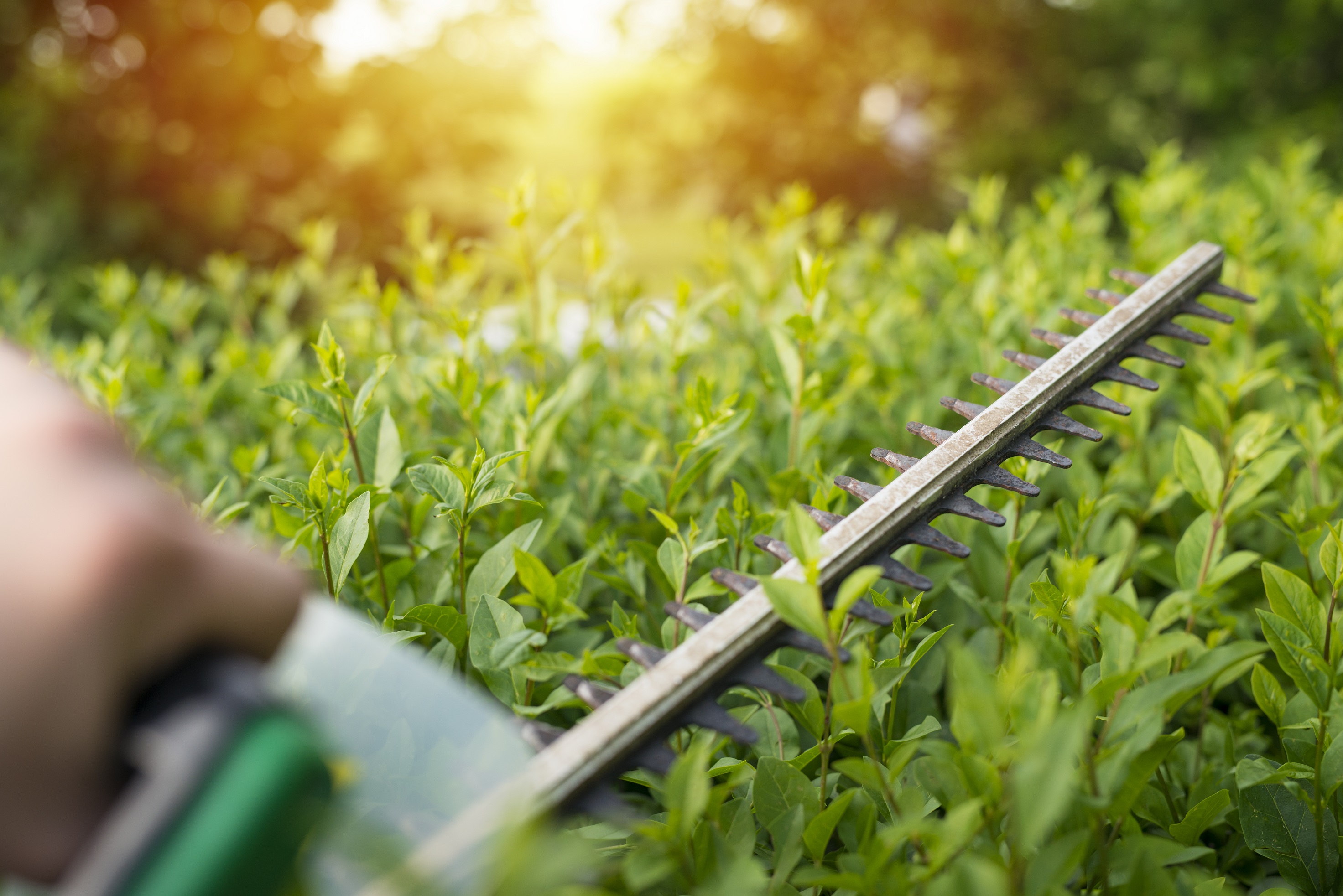 Beispielarbeit von Uwe Grünwald - Landschafts- und Gartengestaltung - veröffentlicht auf Gartenbau.org