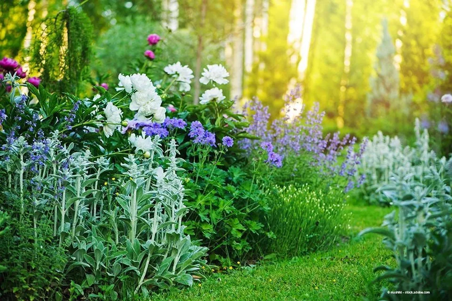 Beispielarbeit von Ditzen Petra Gartengestaltung - veröffentlicht auf Gartenbau.org