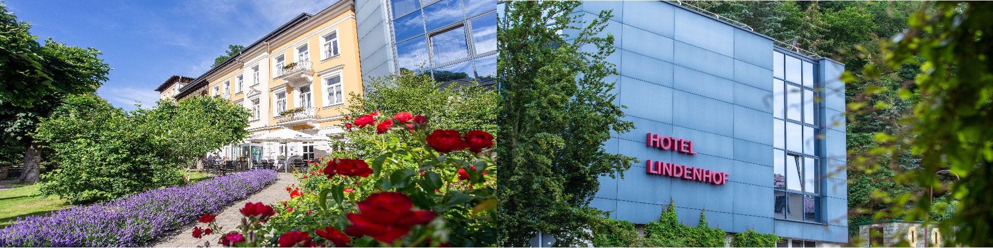 Hotel Lindenhof cover image