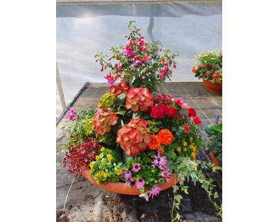 Beispielarbeit von Geiger Friedhofsgärtnerei Robert Ruschig - veröffentlicht auf Gartenbau.org