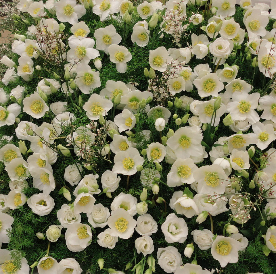 Beispielarbeit von Blumen Kocks - Floristik - Friedhofsgärtnerei - Landschaftsbau - veröffentlicht auf Gartenbau.org
