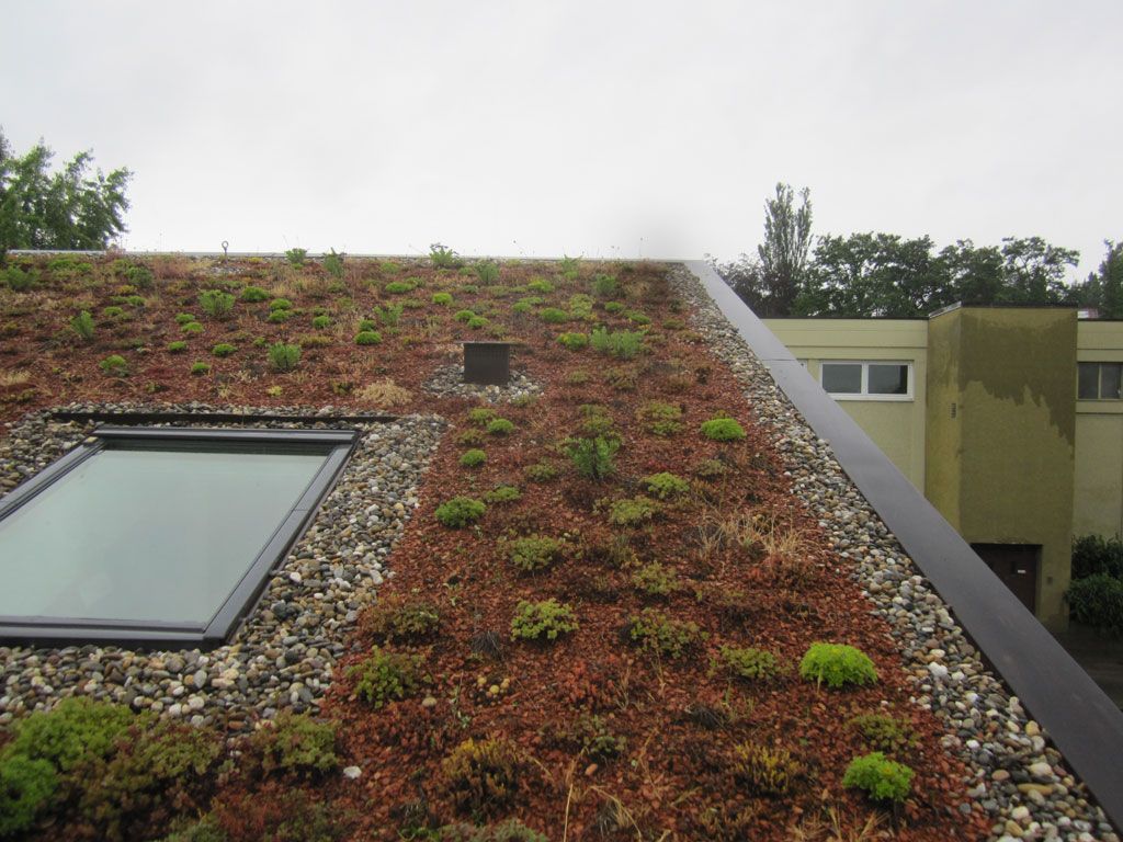 Beispielarbeit von Gurr Garten- und Landschaftsbau GmbH - veröffentlicht auf Gartenbau.org