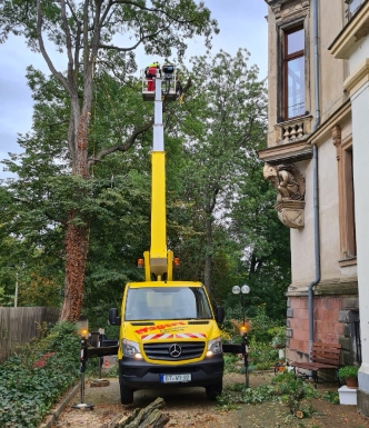 Beispielarbeit von Baumpflegebetrieb Schulze - veröffentlicht auf Gartenbau.org