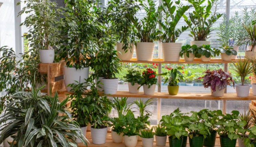 Beispielarbeit von Gärtnerei Strohmair u. Hirsch GmbH u. Co. KG - veröffentlicht auf Gartenbau.org