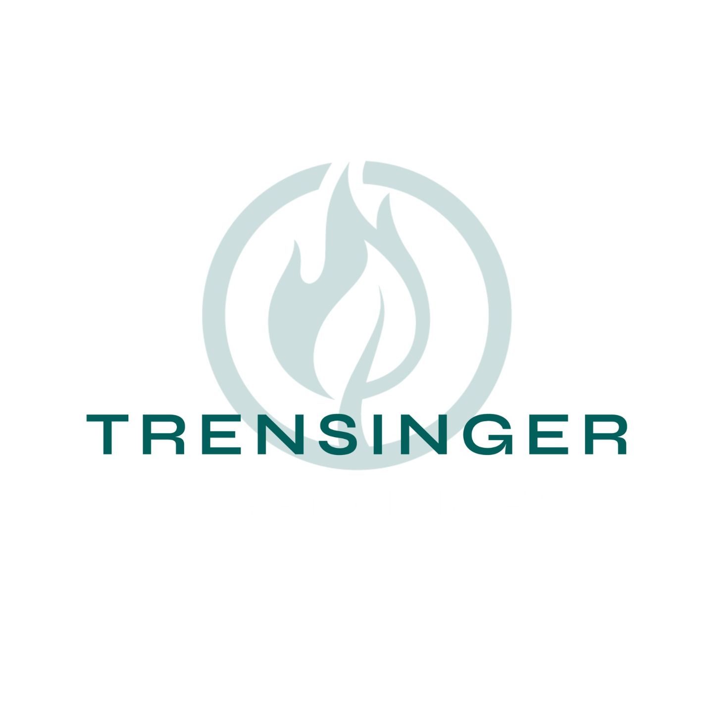Logo der Firma Trensinger Gebäudetechnik GmbH aus Ipsheim auf dem Branchenportal Heizungsbau.net
