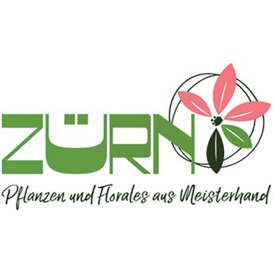 Logo der Firma Blumen Zürn eGbR aus Möckmühl auf dem Branchenportal Gartenbau.org