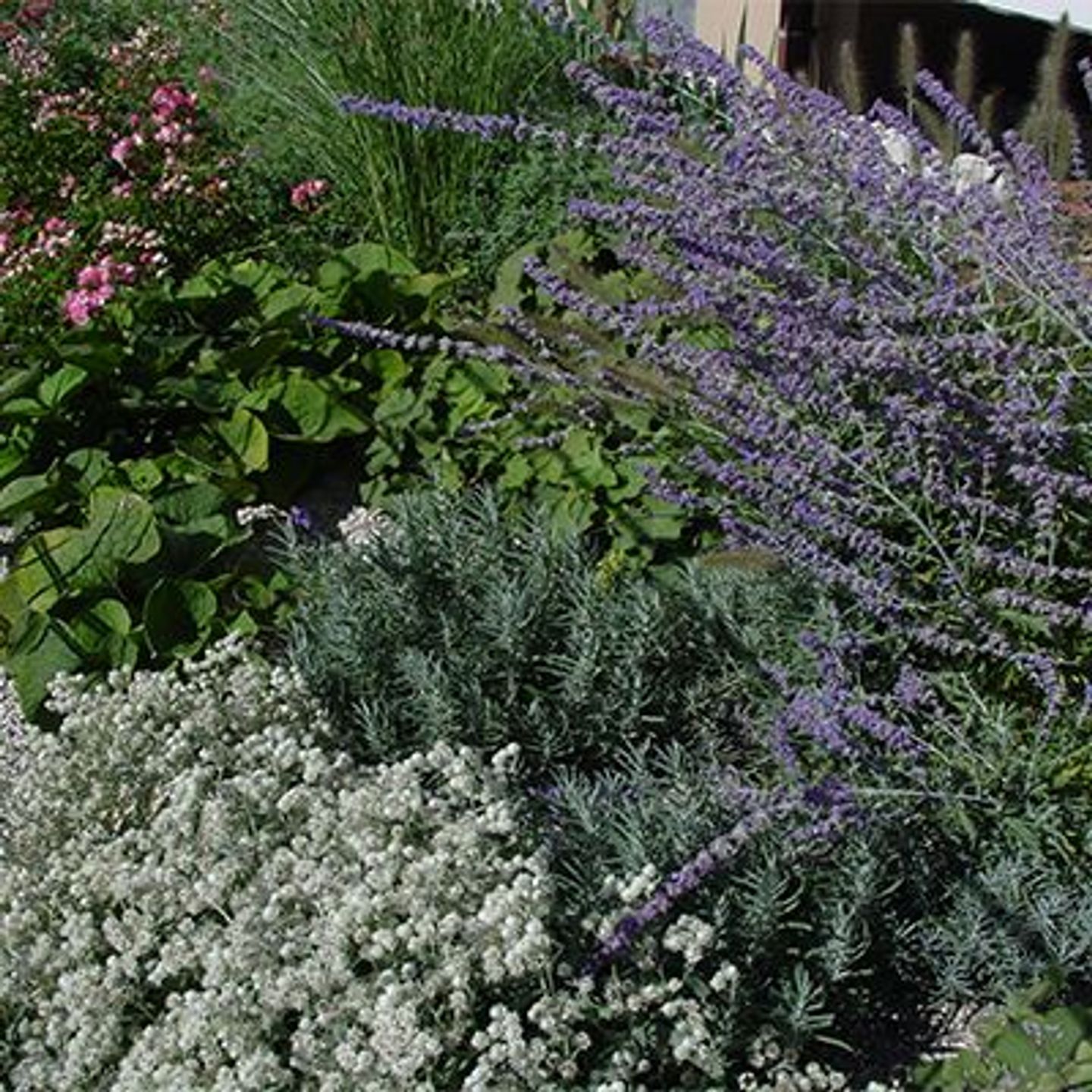 Beispielarbeit von Nordgrün Nürnberg - veröffentlicht auf Gartenbau.org