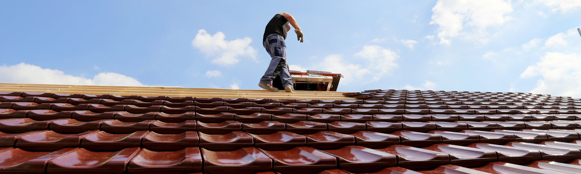 Hermann Glaser GmbH cover image