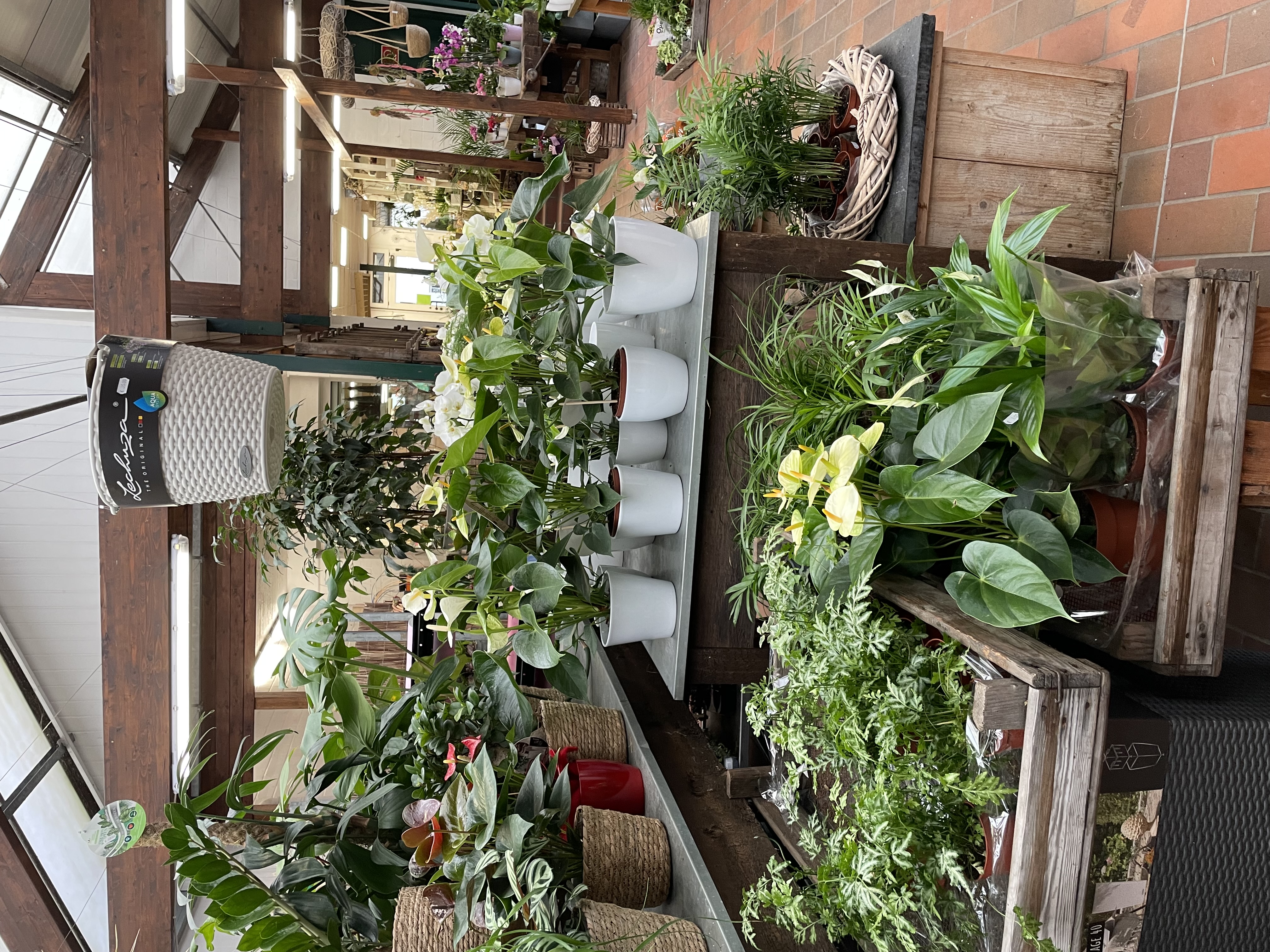 Beispielarbeit von Gartenbau Terhorst - veröffentlicht auf Gartenbau.org