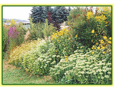 Beispielarbeit von ""Flora passionata'''' - veröffentlicht auf Gartenbau.org