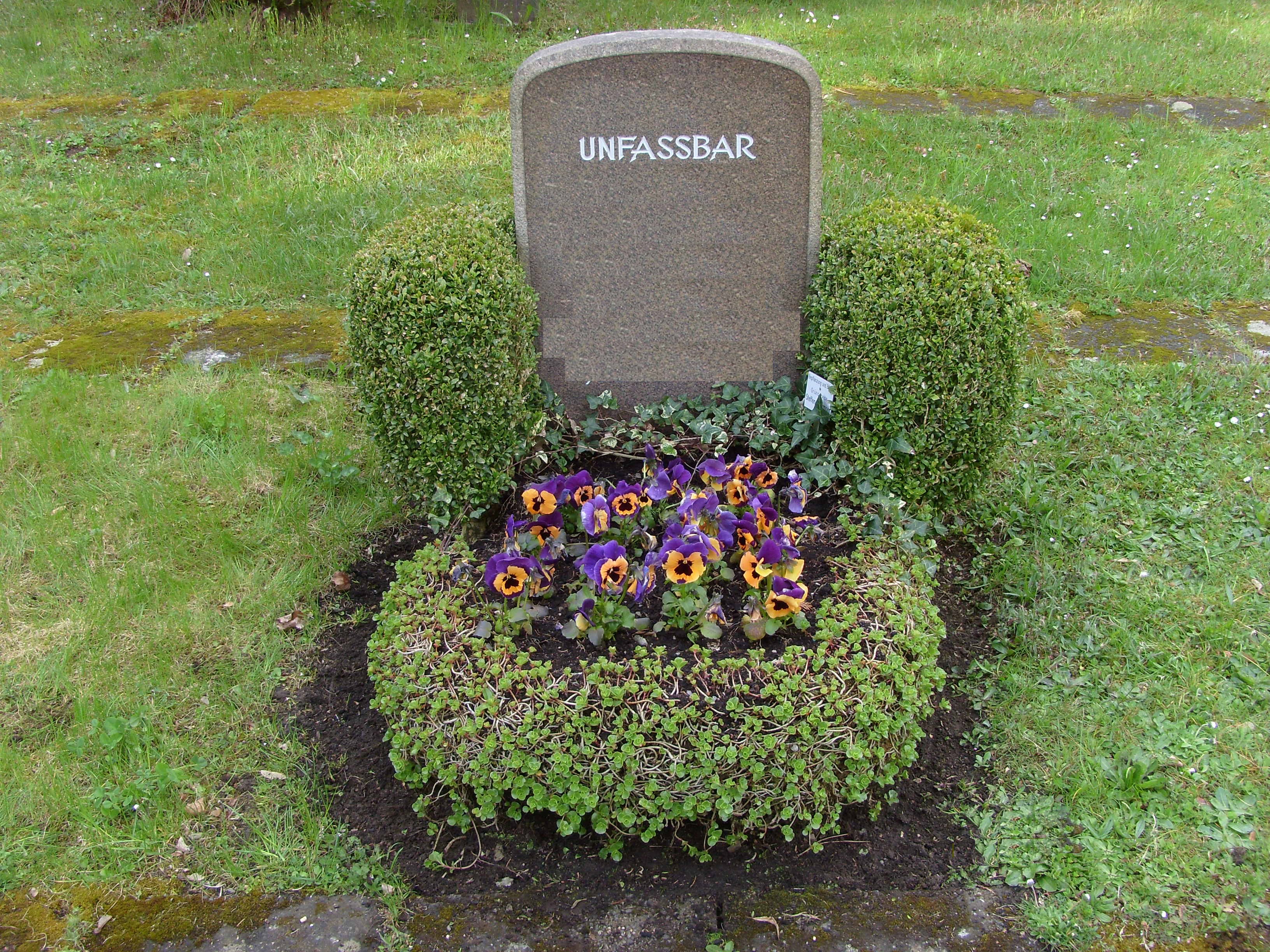 Beispielarbeit von Grünservice Steffen Packmohr - veröffentlicht auf Gartenbau.org