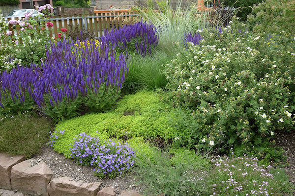 Beispielarbeit von Braun Garten- und Landschaftsbau GmbH - veröffentlicht auf Gartenbau.org