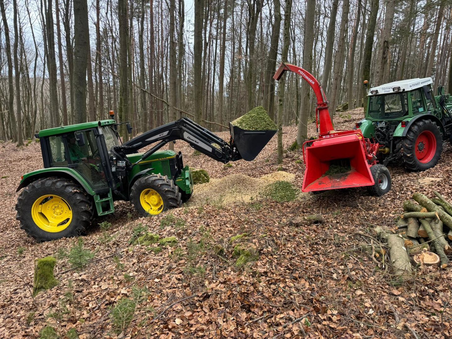 Beispielarbeit von Blumen Meer Gärtnerei & Floristik - veröffentlicht auf Gartenbau.org