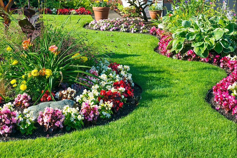 Beispielarbeit von Stefan Wagner GmbH - Gärtnerei, Gartenpflege & Gestaltung - veröffentlicht auf Gartenbau.org