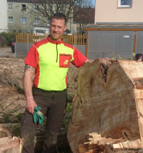 Beispielarbeit von A.R.C.Tec Baumgutachten, Baumpflege - veröffentlicht auf Gartenbau.org
